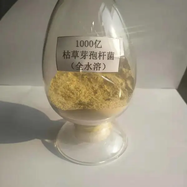 枯草芽孢杆菌水产养殖 畜禽养殖枯草芽孢杆菌 水产菌种