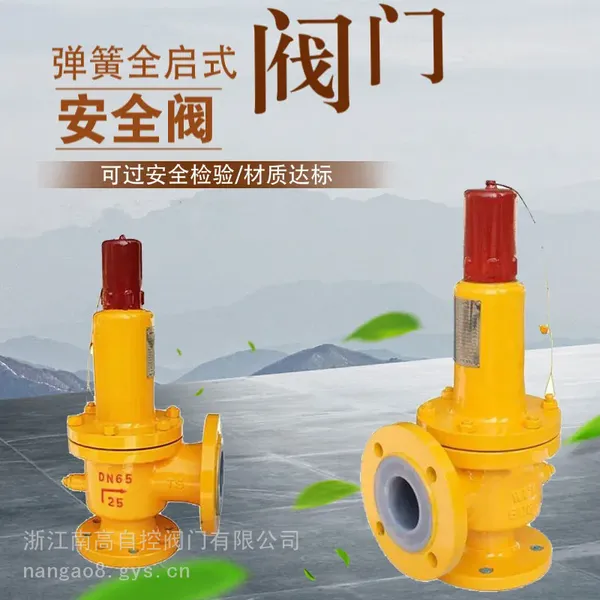 南高阀门 弹簧式衬氟安全阀 A42F46-16C 化工衬四氟 耐腐蚀安全泄压阀