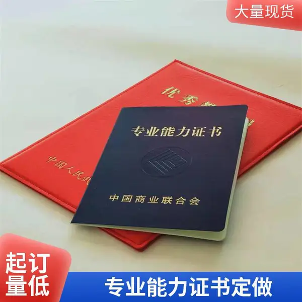 就业能力培训证书印刷厂/专业能力等级证书定做/岗位培训证书