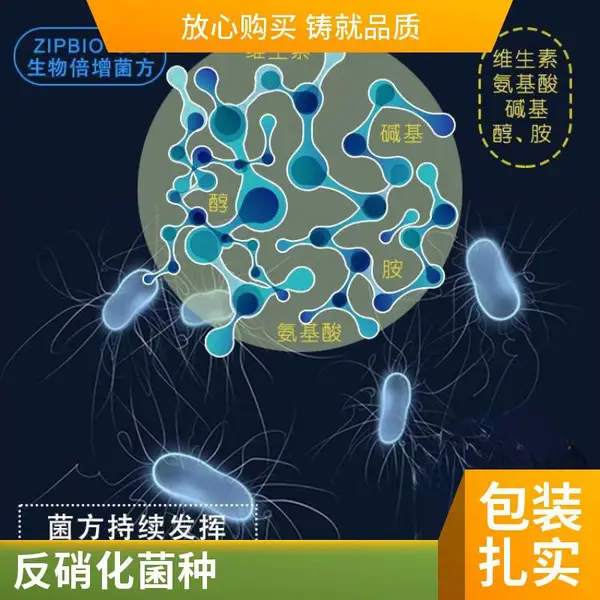微生物菌砖 好氧反硝化菌方 脱氮菌块 总氮超标污水 专用菌块