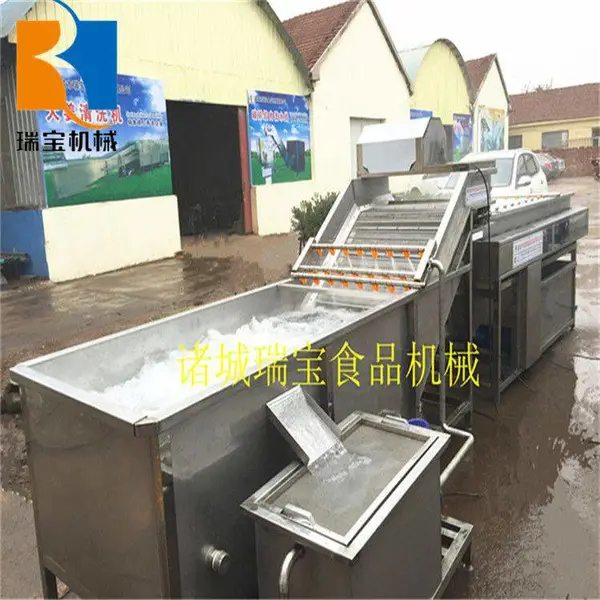 山东瑞宝QP-800翻浪式气浴蔬菜清洗机,蔬菜气泡清洗机厂家
