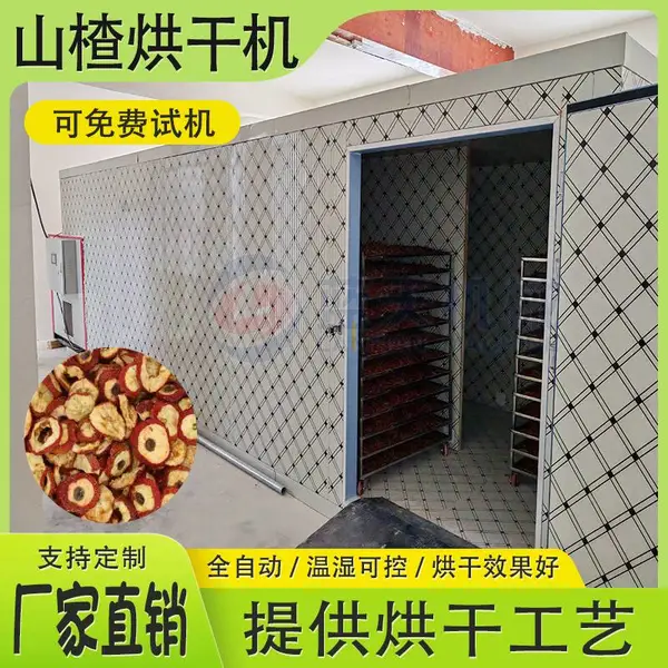 全自动山楂烘干机 水果去核切片烘干设备 山里红山楂干果丹皮干燥机