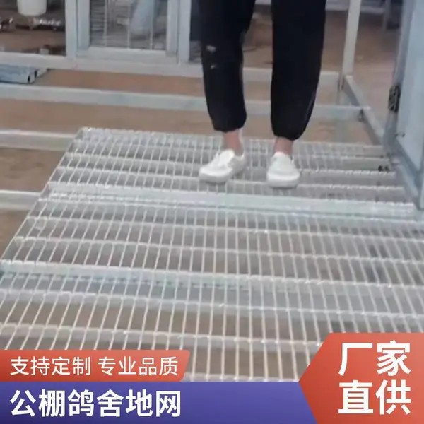 镀锌铁丝网养殖围栏鸟笼鸽笼网片电焊网格狗笼垫底网鸽舍地网专用