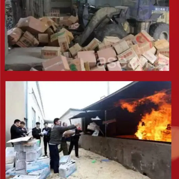 Խ���������ļ����ٻ���רҵ������������