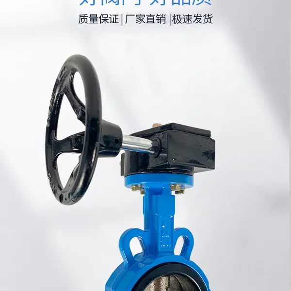对夹软密封蝶阀 D371X-10C 涡轮蝶阀 耐腐蚀阀南高阀门