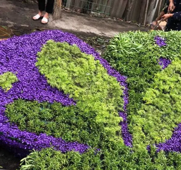 成都仿真植物定制小蚂蚁搬家主题 新新婚快乐 二十四节气 材质
