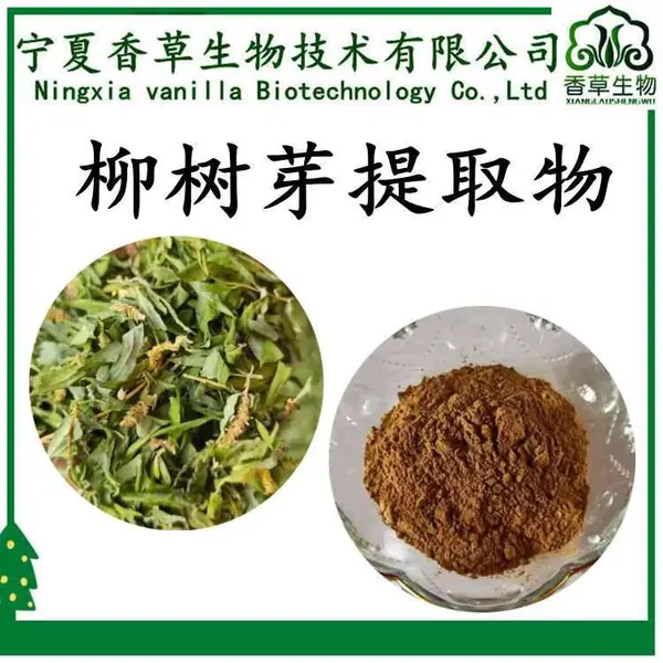 柳树芽提取物 10:1 原粉 100目 浓缩粉 柳树 芽速溶粉 水溶