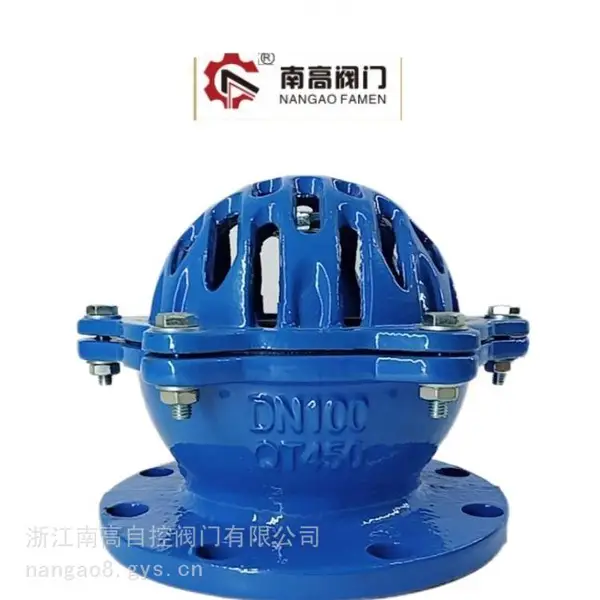 升降式不锈钢铸钢底阀H42X-16C南高阀门 莲蓬头污水单向阀