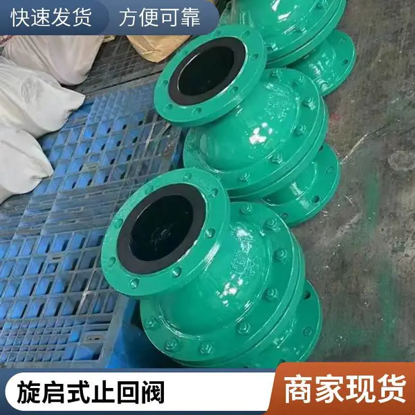 H44J-10C DN250 耐酸碱旋启式法兰止回阀 铸钢内全衬胶逆止阀