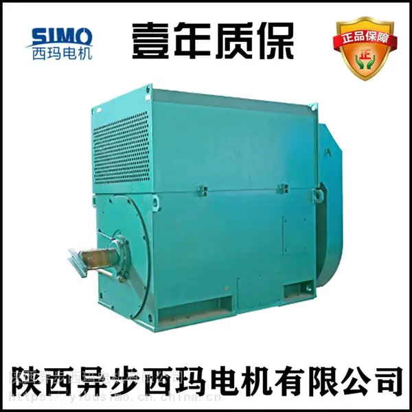 ����̩������������Y5002-10/250KW/10KV��ѹ�����չǰ��***