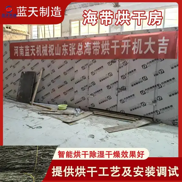 海带烘干机 大型商用海带丝海带苗烘干房 裙带菜海产品干货风干设备