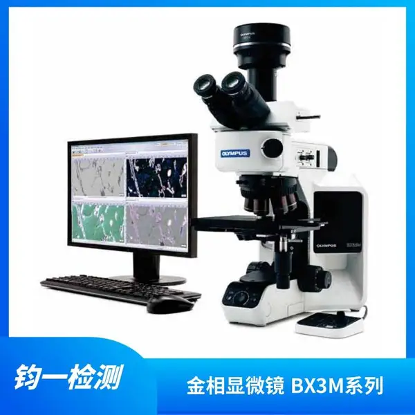 ���ְ�˹ BX53M ��ҵ������΢�� �����㲿�����