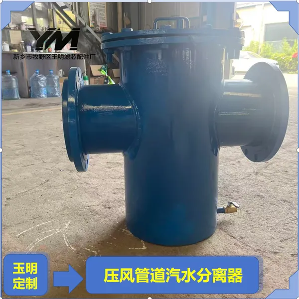 压风管道汽水分离器 Q345R 壳体保温防冻压风分离器
