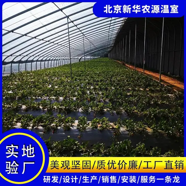 塑料薄膜大棚 单体大棚 圆管骨架大棚 po膜大棚 暖冬温室