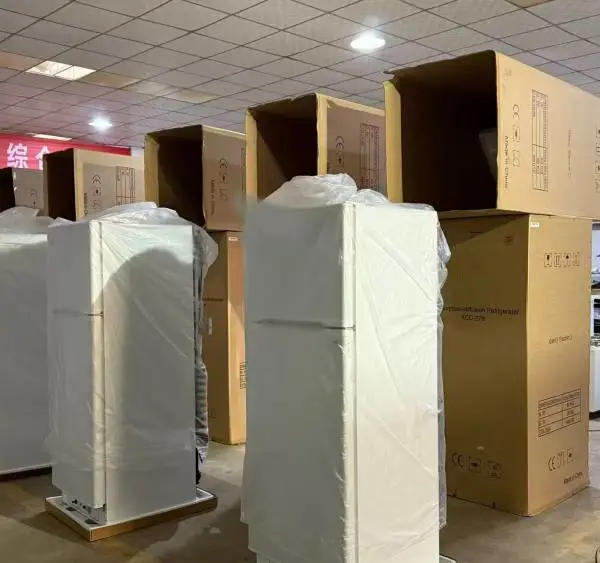 双开门液化气300升燃气冰箱 冷冻冷藏天然气冰箱