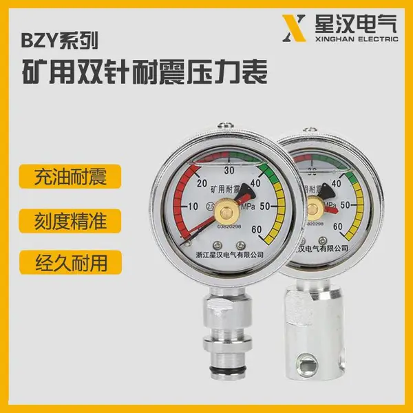 BZY60����˫������ѹ���� 0~60MPa 0~80MPa