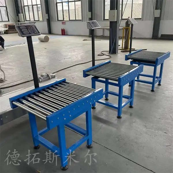 定制流水线检重秤无动力滚筒秤自动剔除动态在线称重输送分拣机械