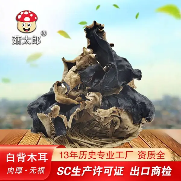 菇太郎 无根 毛木耳片 干货 白背黑木耳 脆木耳 大白背木耳 可出口日本