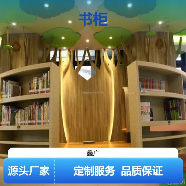鑫广品牌广电通信展示架图书馆按需定做货架书柜展架