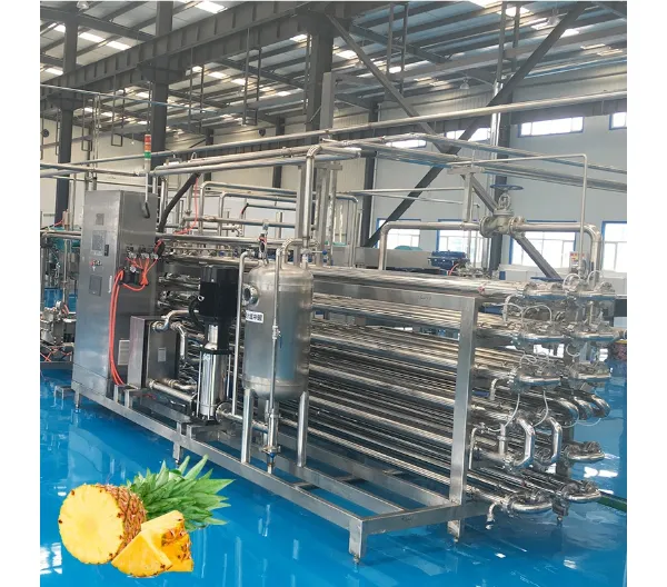 西藏菠萝果脯加工生产线定做 上海果丰机械设备供应