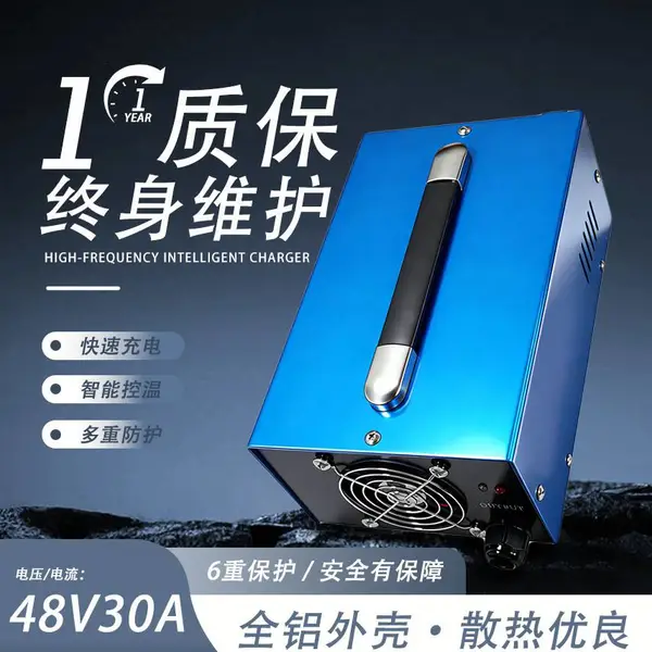 48V30A 洗地机 电动观光车充电器 高尔夫球车 铅酸免维护电池灰色175A