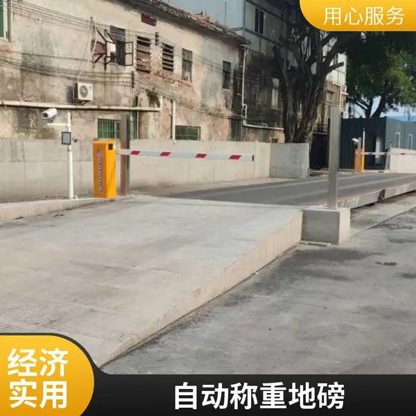 无人值守称重系统 肇庆地磅厂家直销 规格全 可定制ERP
