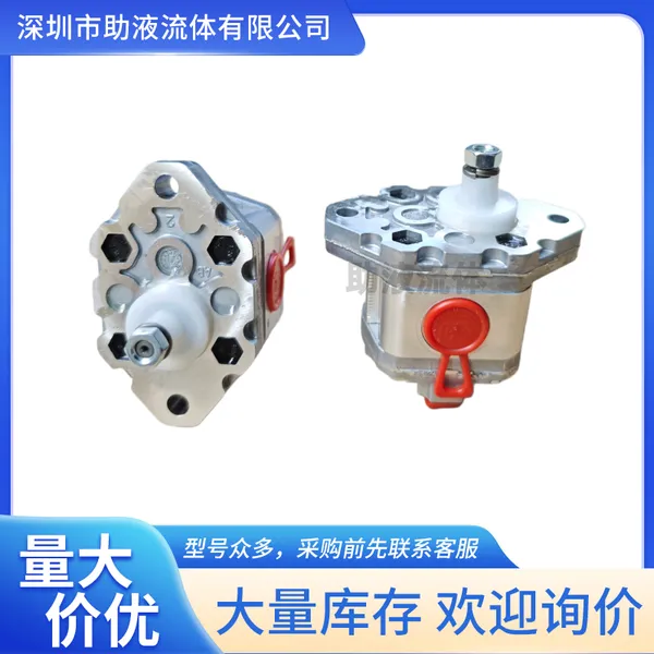 意大利进口MARZOCCHI双向齿轮泵0.25R18小排量齿轮泵微型齿轮泵