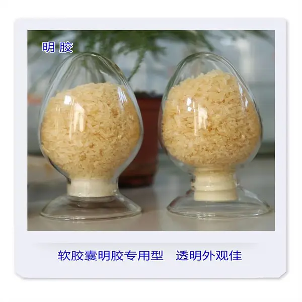 食品级明胶 高冻力 棉花糖明胶 增稠凝胶成膜