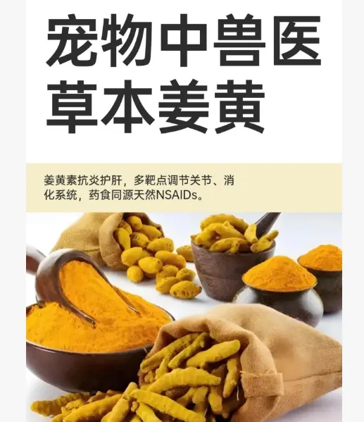 ���ｪ�Ʒ�è�������ؽڰ�����ʳӪ������������Ӵ����Ʒ�