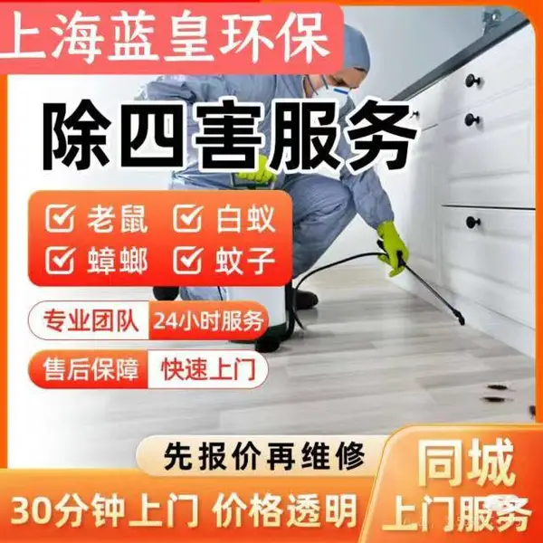 上海灭臭虫 除虫杀虫灭蟑螂灭老鼠灭跳蚤灭白蚁除老鼠