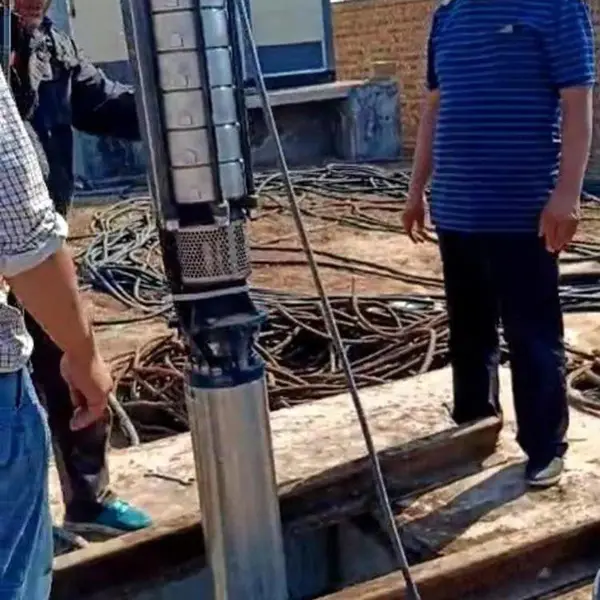 8�����/��������FramklinElectricǱˮ��ȫ�����