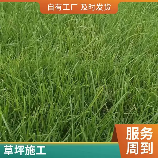 庭院绿化设计家庭花园绿化设计批发施工庭院草坪铺装草坪铺装通州