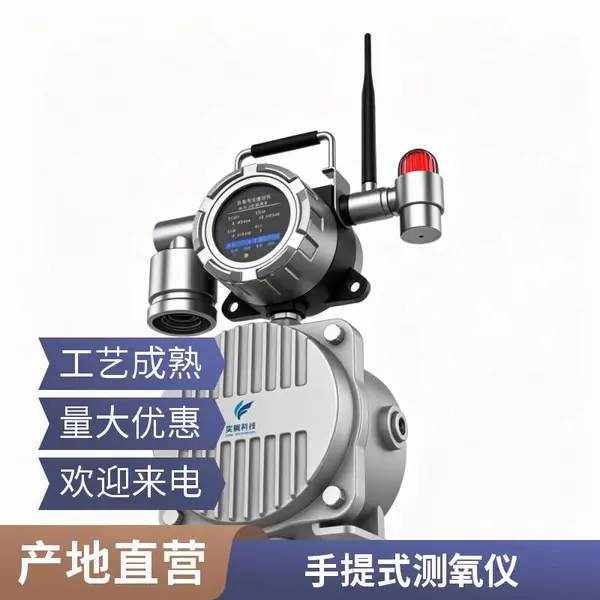 实验室手持测氧仪 手提款氧气检测仪 数显液晶屏 可校准