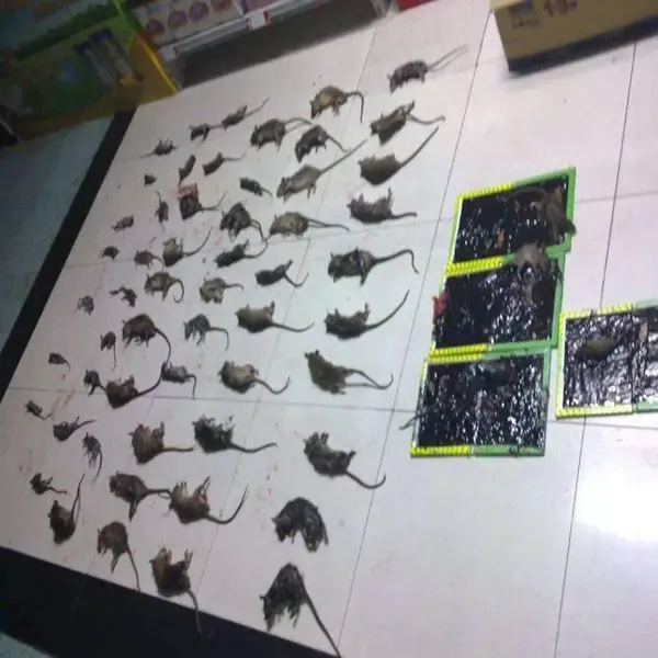 粘鼠板批发,智能粘鼠板厂家价格