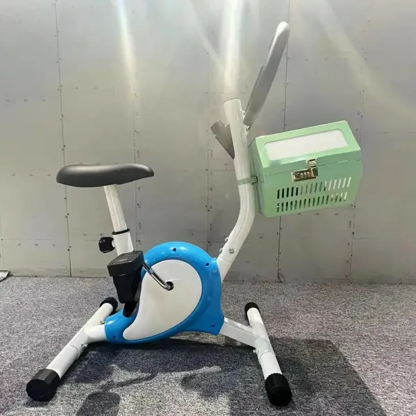 �Ų����ݻ�������ͯŮ�����������ݵ����㳡��̯