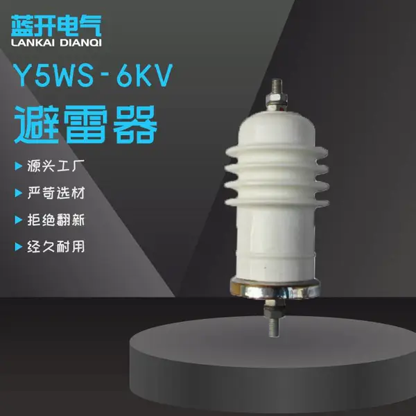 ����6KV�����ѹ��ɫ�մɽ��������������Y5WS-6KV ��ѹ������