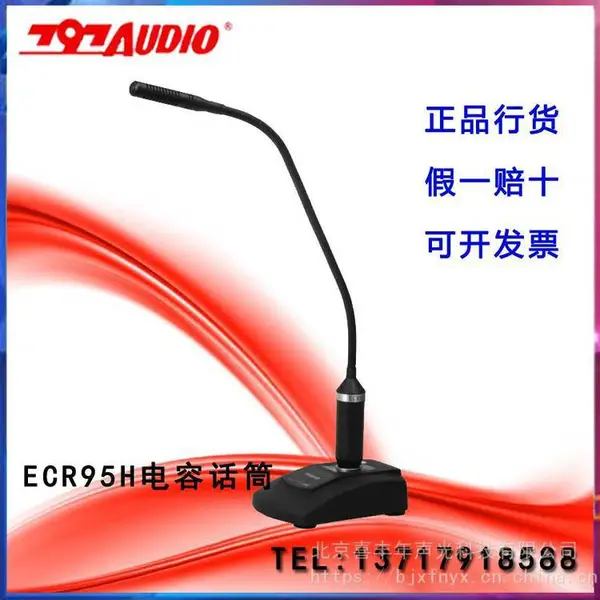 �߾������� 797 AUDIO ECR95H�������ݻ��黰Ͳ ���߶쾱��˷� ������