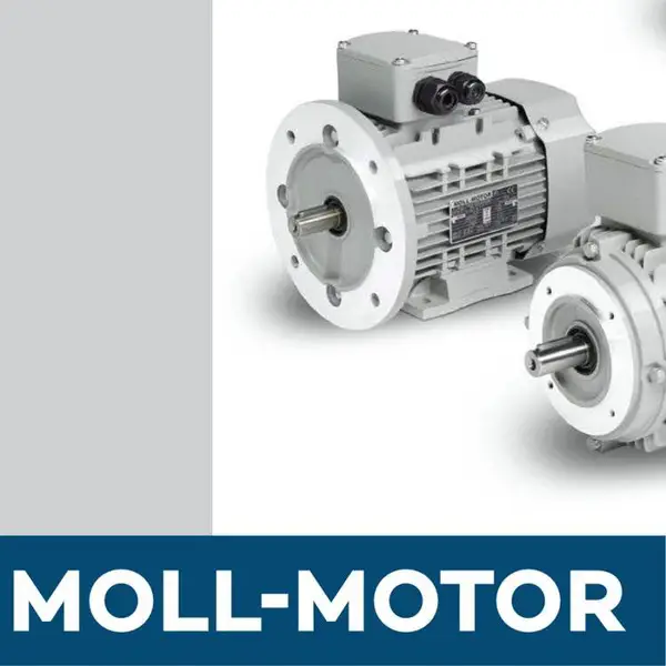 MOLL-MOTOR�๦�ʻ�е��ҵ����Դ����綯���������Y3