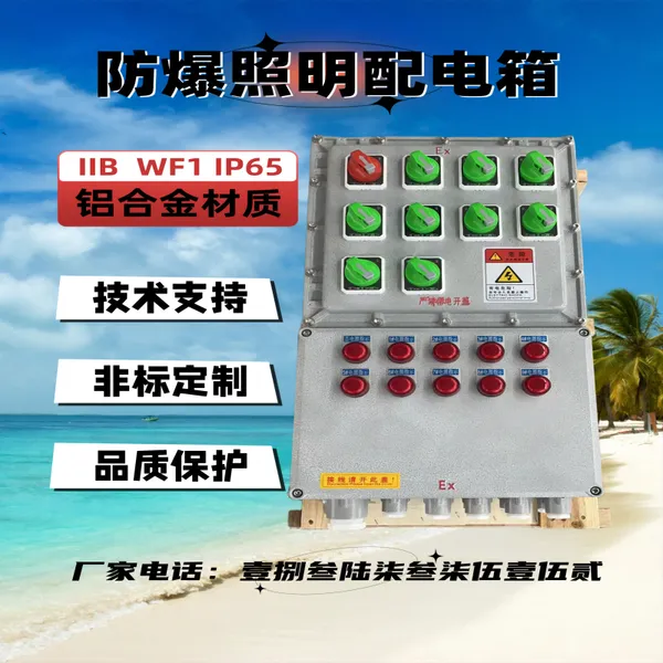 防爆仪表 变频 软启动 磁力 风机 水泵控制启动 检修 箱