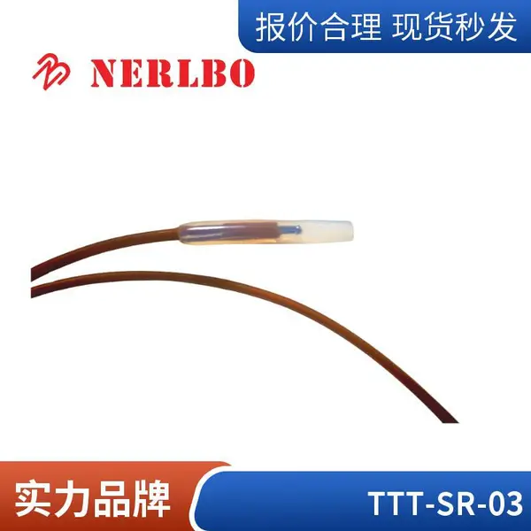 湿热温度传感器T型热电偶探头医药灭菌柜验证