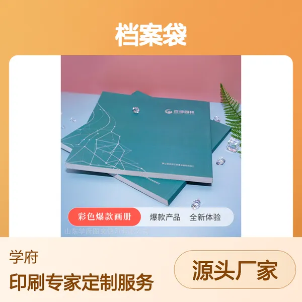 档案袋便签文件夹 收据入库单出库单 全新体验