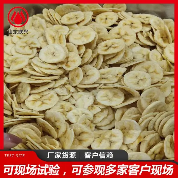 菠萝蜜香蕉片低温油炸加工设备 低温真空油炸机 联兴机械