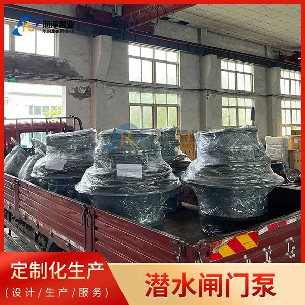 全贯流潜水闸门泵 闸门式直连安装 操作维护方便
