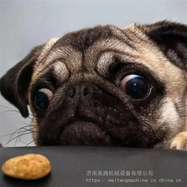 �򻯼����������ӹ��豸 ����Ȯ���ϻ�е����Ƶ