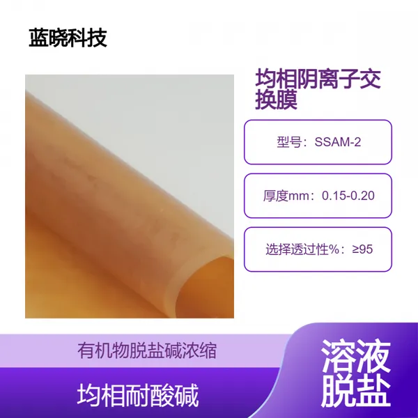 ���������ӽ���Ĥ�����Ƽ�SSAM-2Ĥ רҵ�����Ѽ�Ӧ��
