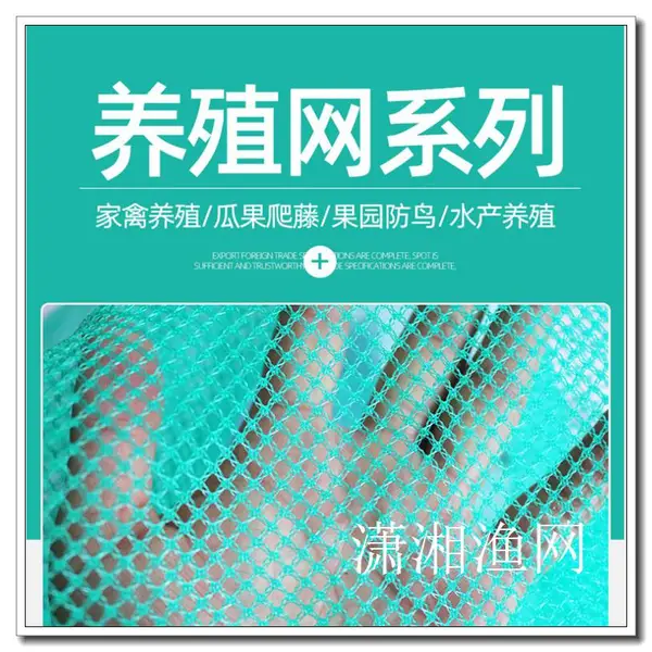 养殖网渔网布 网布螃蟹防漏网渔网布 防护网 渔网潇湘渔网定制