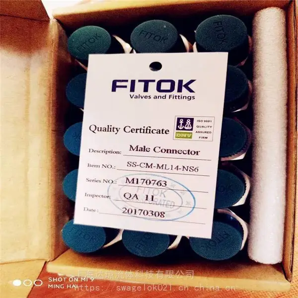 NBSS-MTS12-8-G针型阀*** 美国飞托克FITOK