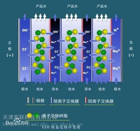 ��䴲�����������������EDI�����������ӽ���Ĥ