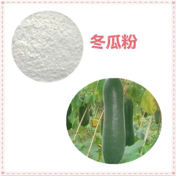 沃特莱斯生物 食品级原料 冬瓜粉 速溶粉 水溶 白色粉末