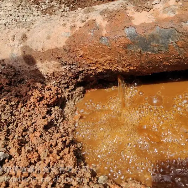 广州埋地供水管检漏,暗管漏水检测及维修,科创园消防管查漏机构